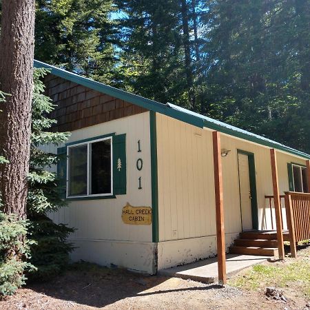 Hall Creek Cabin Пакууд Екстериор снимка
