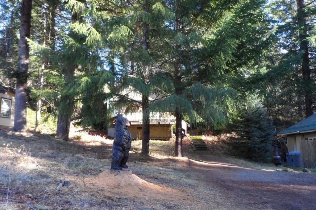 Hall Creek Cabin Пакууд Екстериор снимка